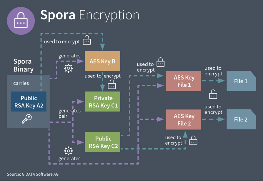 The Spora encryption shown in an info graphic G DATA info graphic of encryption steps Spora takes